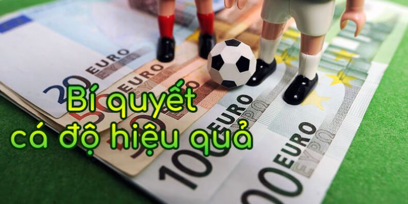 Các loại sảnh giải trí tại sân chơi KUBET khi tham gia thể thao